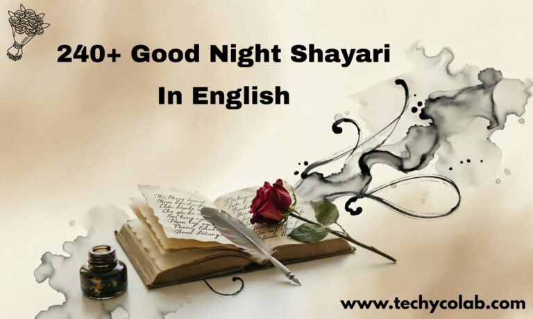 240+ Good Night Shayari In English